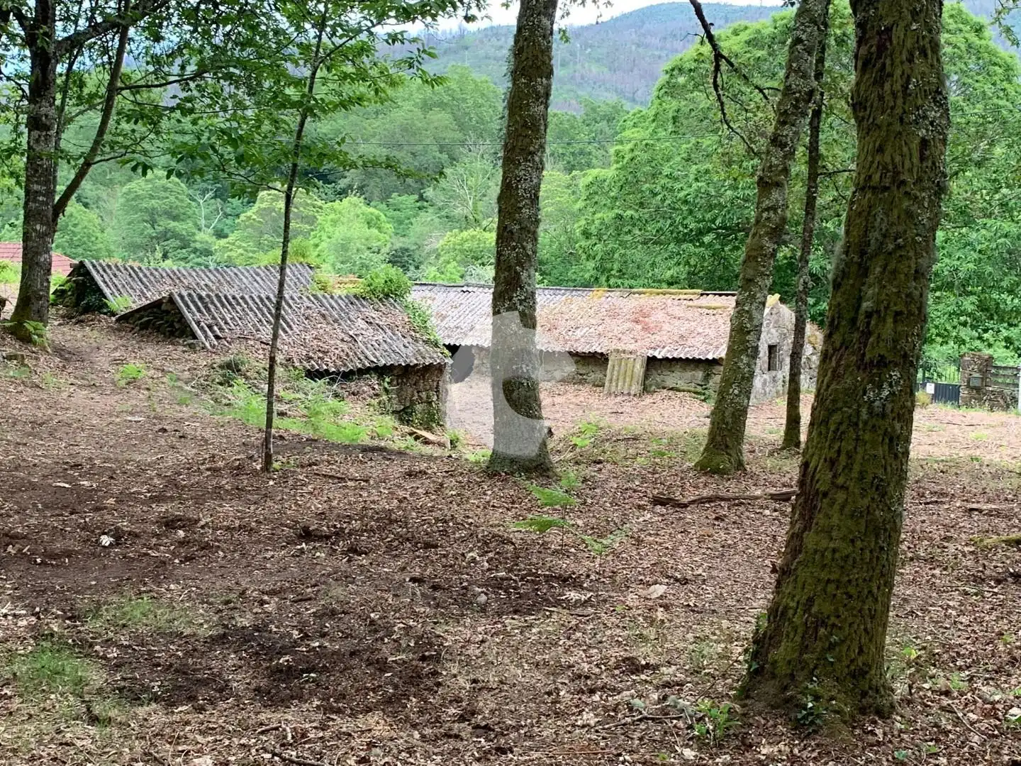 Casa in vendita a Ponteareas, imagen 15