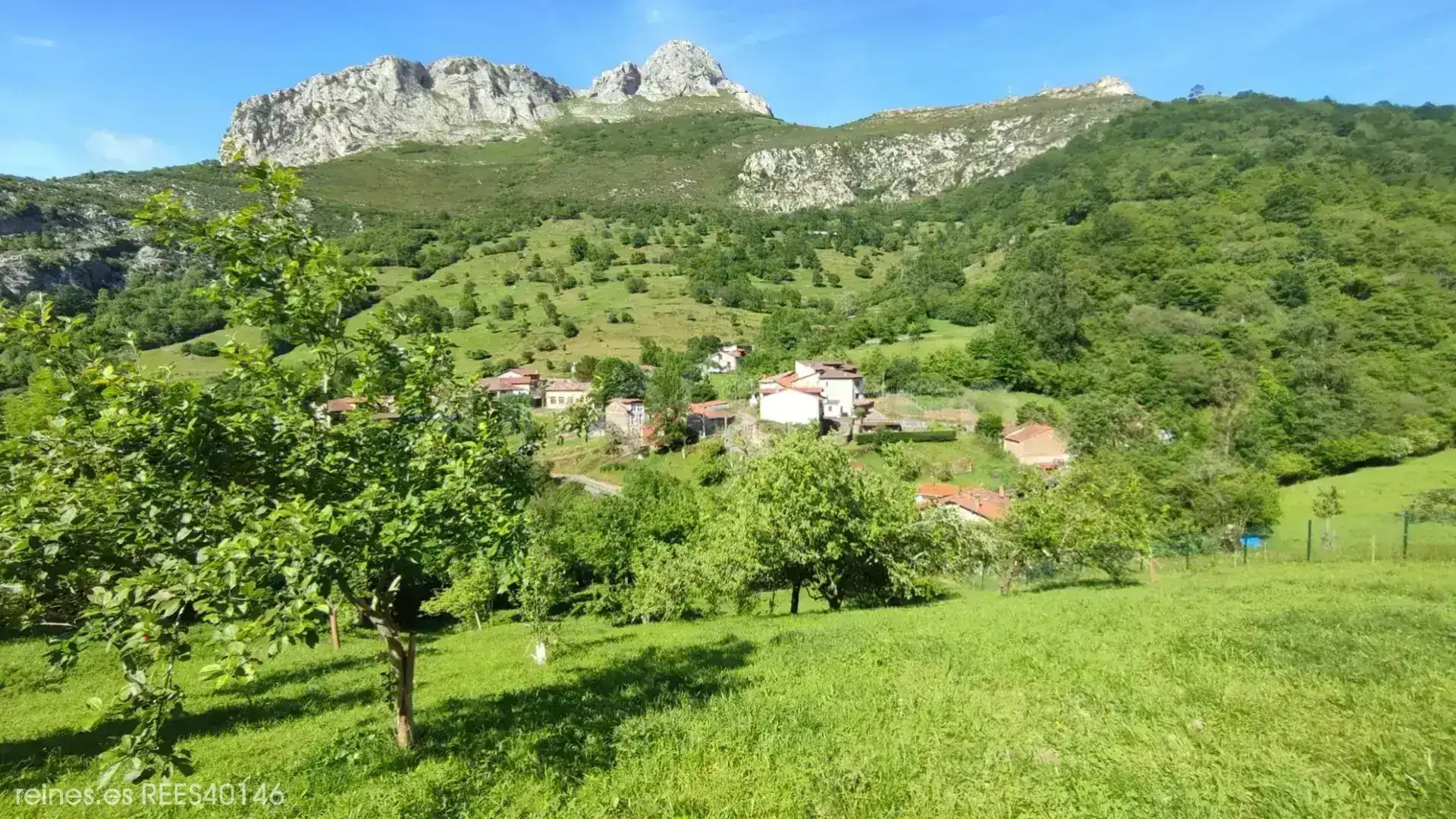 Vista exterior de Residencial en venda en Peñamellera Alta