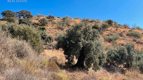 Photo 3 of Land for sale in Diseminado R5, 148, Pinares de San Antón, Málaga