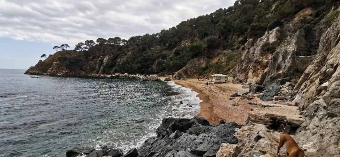 Vista exterior de Residencial en venda en Tossa de Mar