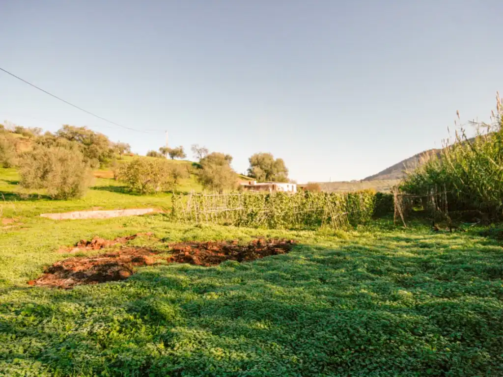 Country homes for sale in Coín