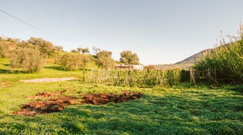 Foto 5 de Finca rústica en venta en Partida Puerto Falso, Coín, Málaga