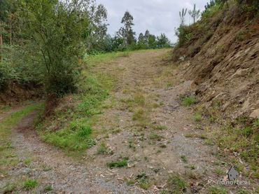 Wohnbaugrundstück zum Verkauf in Pillarno