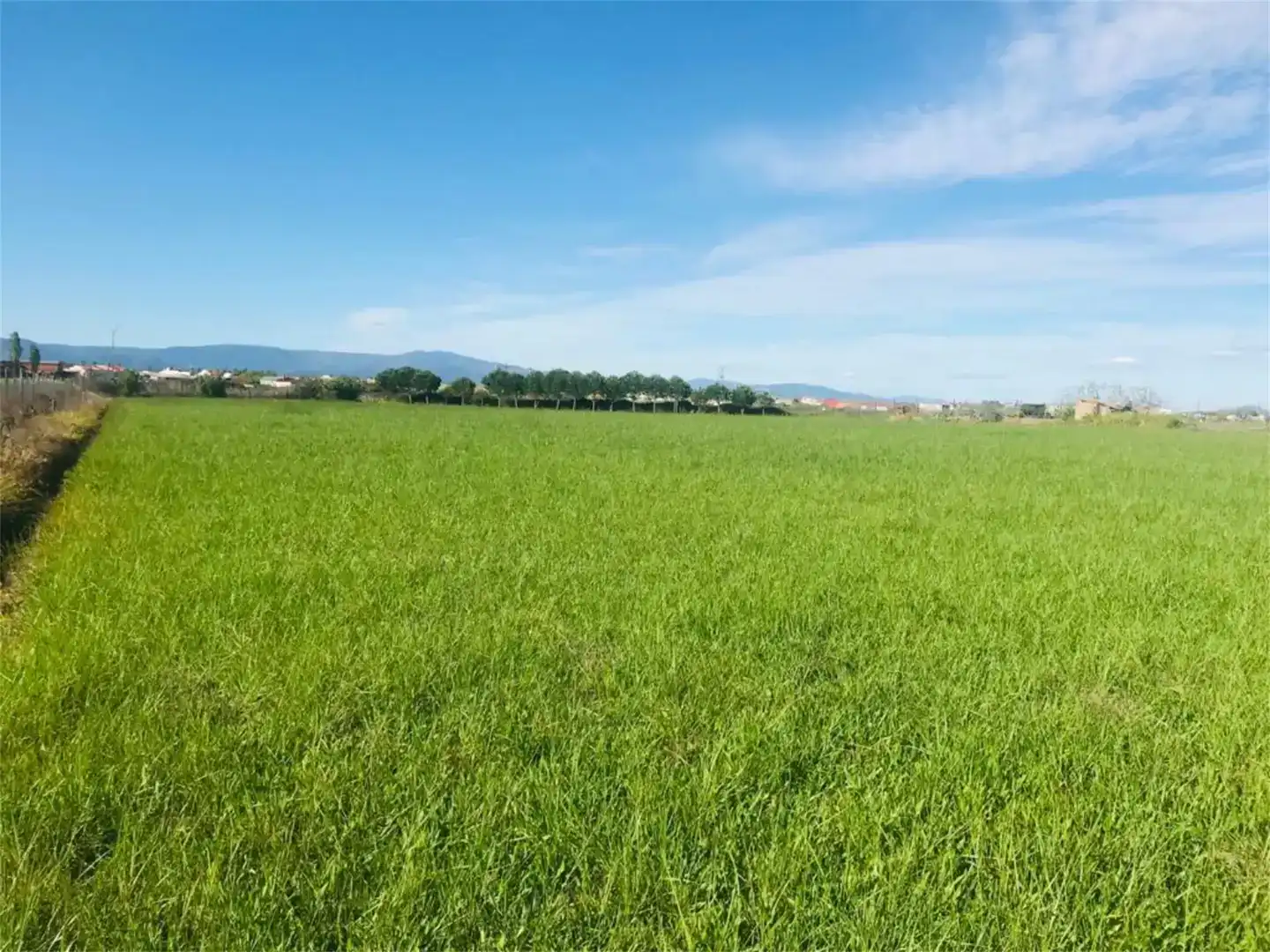 Land for sale in Moraleja
