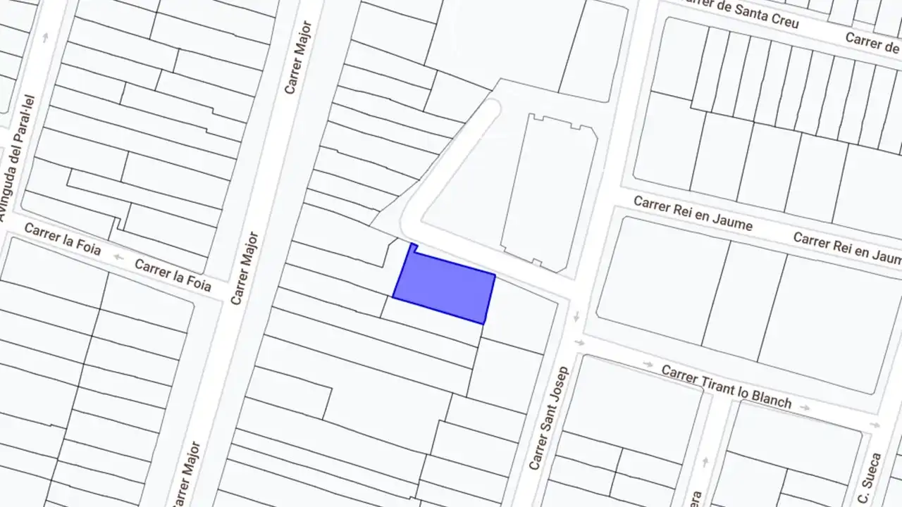 Rural land for sale in Plaza Constitución, imagen 2