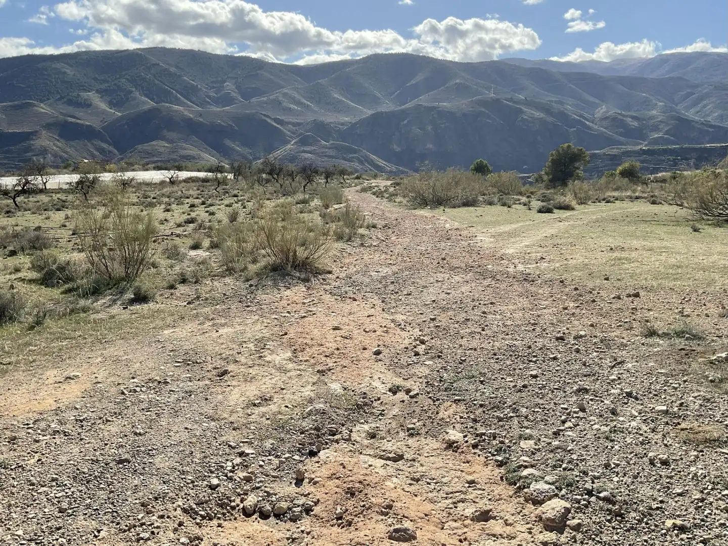 Land for sale in Padules