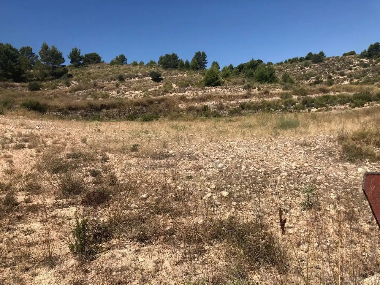 Rustikales Grundstück zum Verkauf in Jumilla, imagen 8