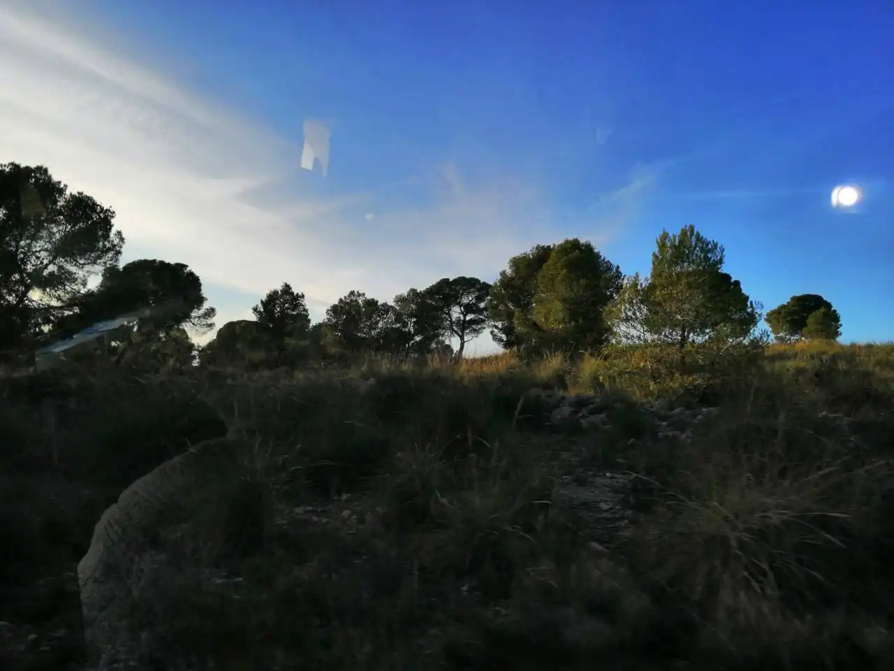 Terrenys i solars en venda a Calle ALBATANA A JUMILLA, imagen 9