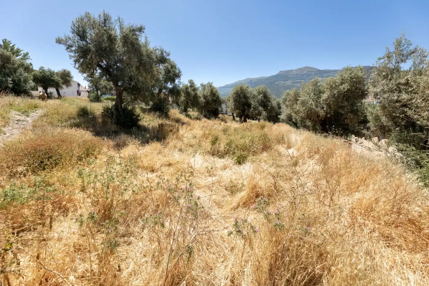 Lands and plots for sale in Calle FUENTE 16 CAÑOS, imagen 8