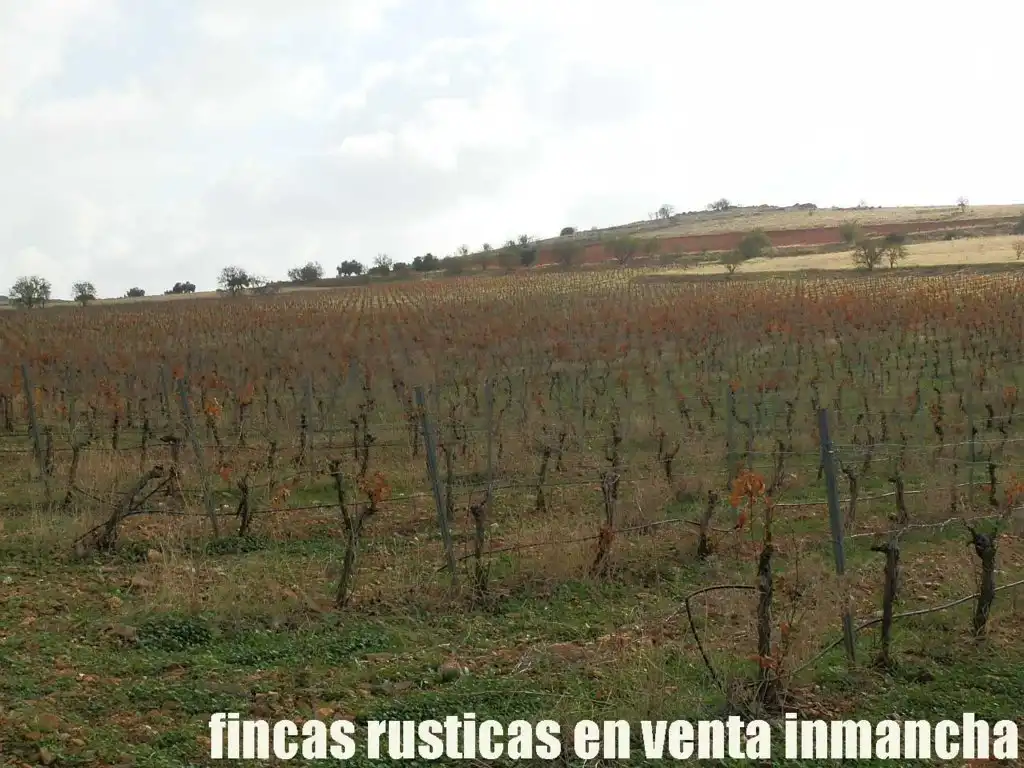 Rural land for sale in Valdepeñas, imagen 9