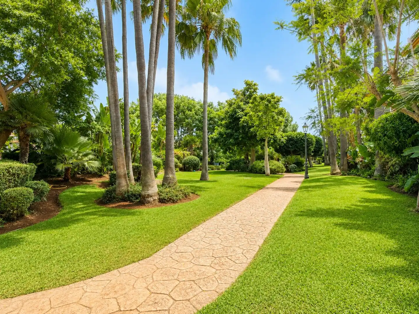Vista exterior de Apartamento en venta en Marbella con Jardín privado y Piscina comunitaria