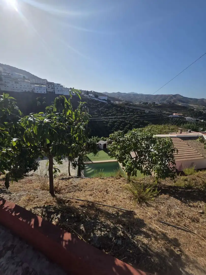 Jardín de Finca rústica en venta en Benamocarra con Terraza y Piscina