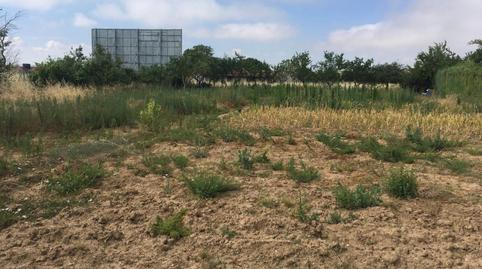 Foto 3 de Finca rústica en venda a Camino Campillo, Santo Domingo - La Estación, Burgos