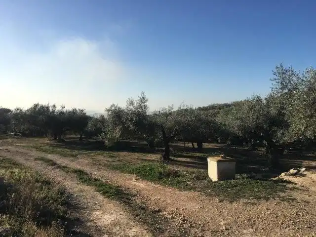 Casa o xalet en venda en Tortosa