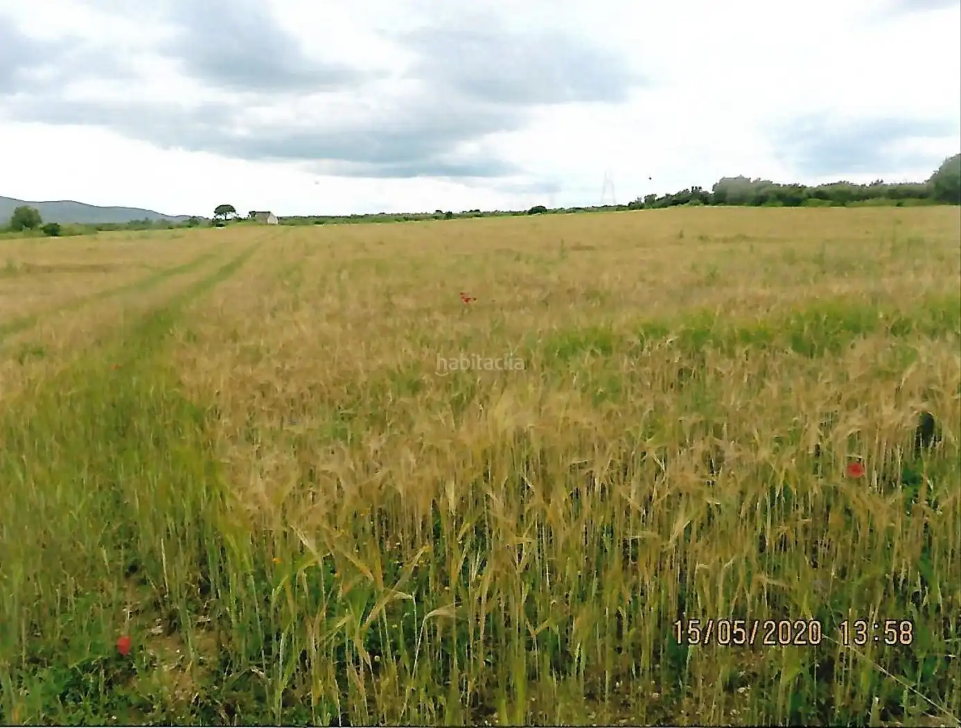 Rural land for sale in Godall, imagen 9
