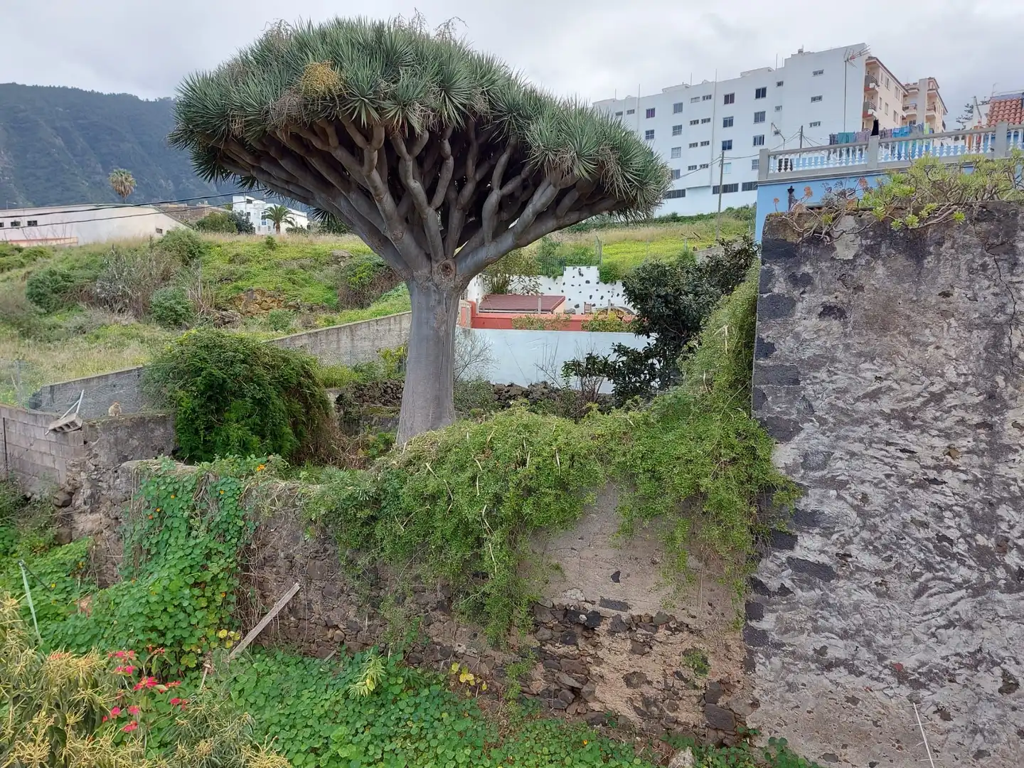 Terreno residencial en venta en Centro, imagen 9