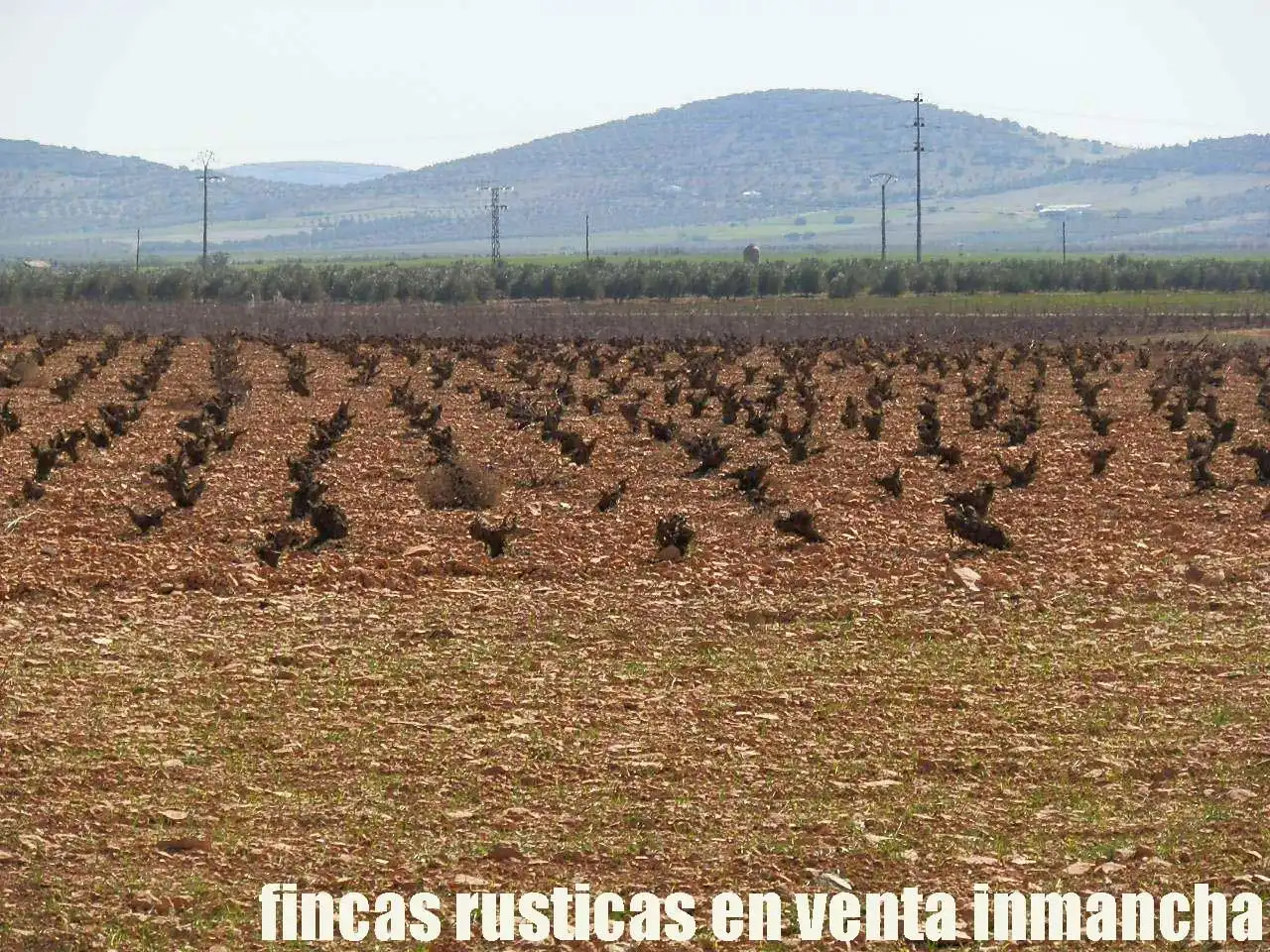 Rural land for sale in Valdepeñas, imagen 10