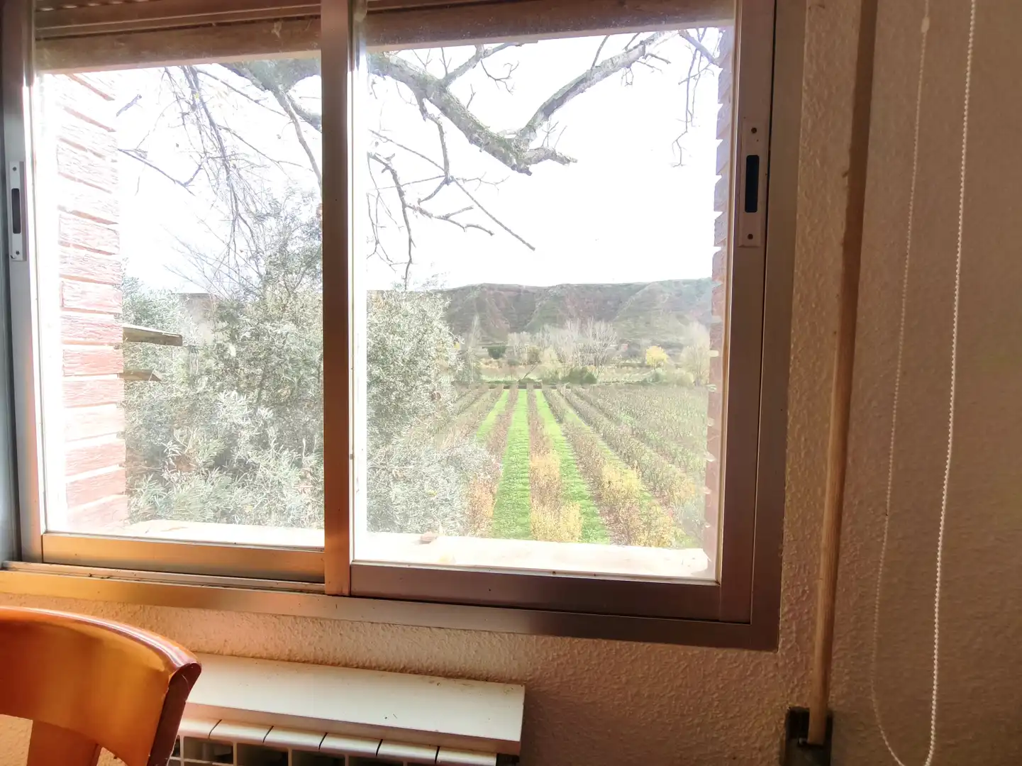 Casa o chalet en venta en Albelda de Iregua