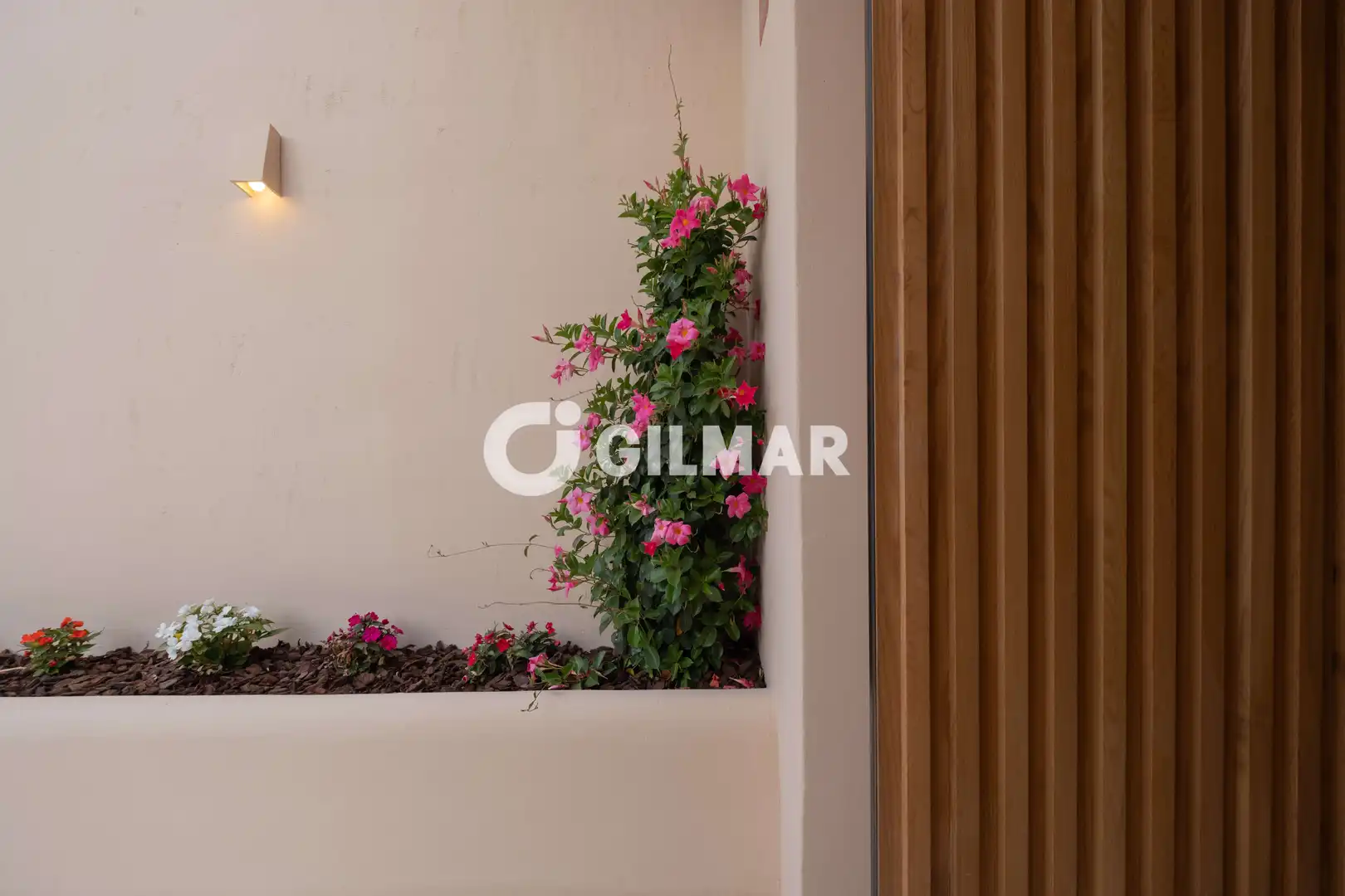 Terrassa de Casa o xalet en venda en El Cuartón - El Bujeo