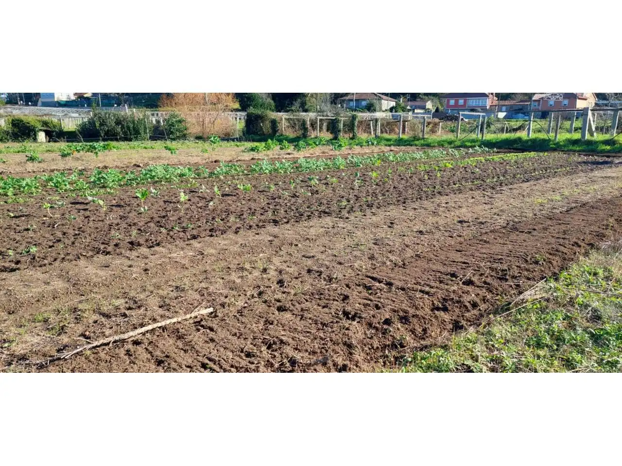 Terreno rustico in vendita a Ribadumia, imagen 6