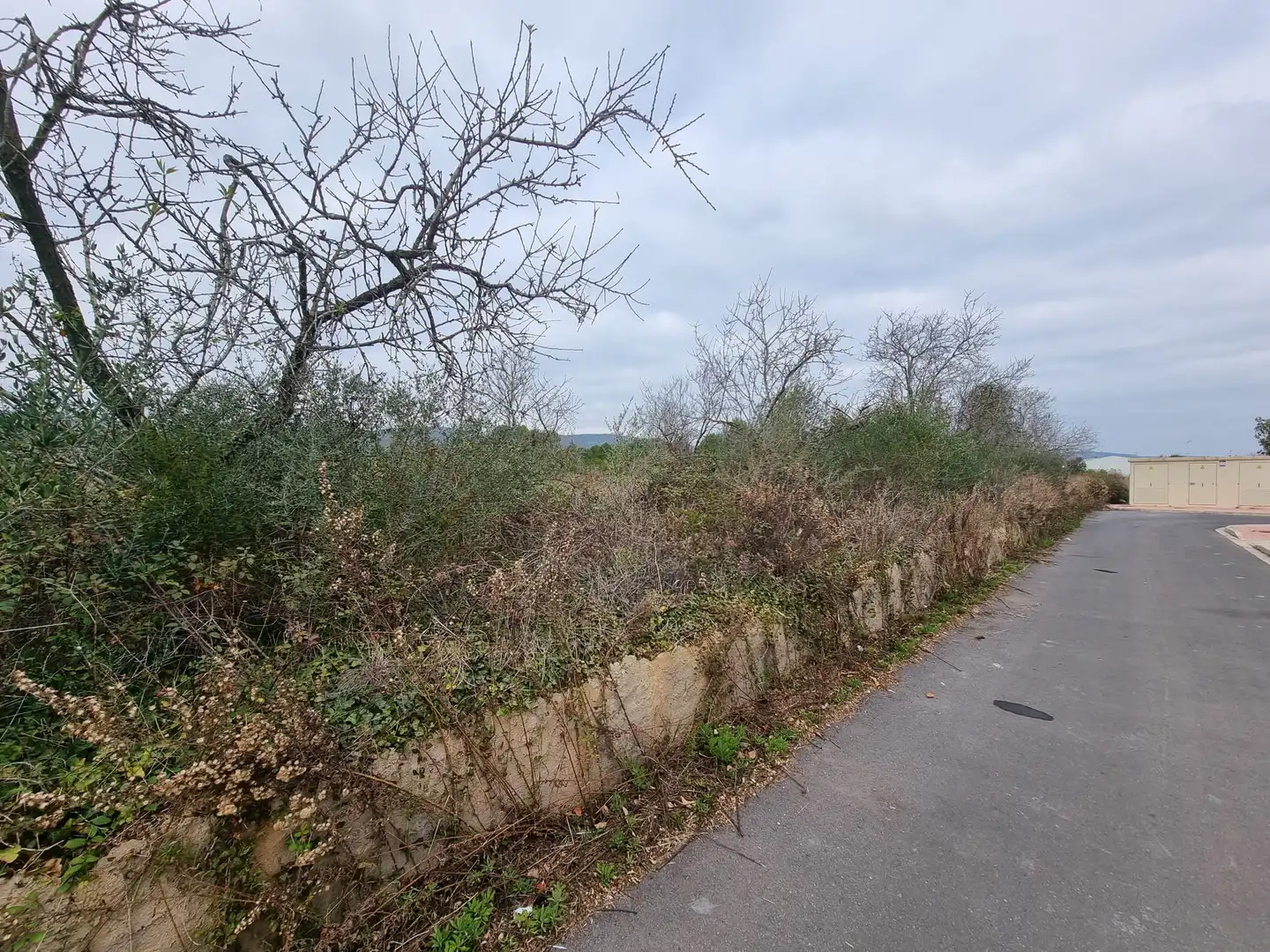Residential land for sale in Alio, imagen 3