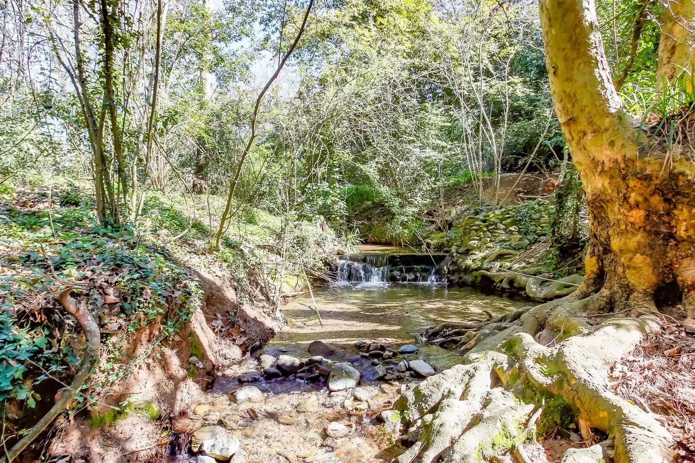 Vista exterior de Finca rústica en venta en Sant Antoni de Vilamajor