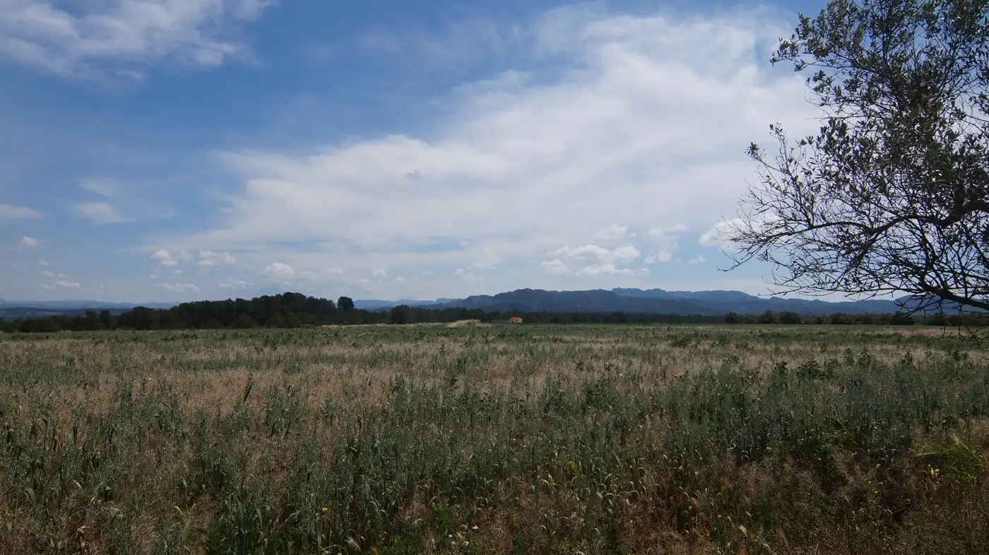 Terreno en venta en Ginestar