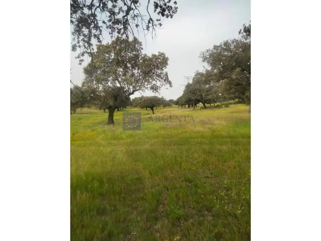 Casa o chalet en venta en Malpartida de Plasencia