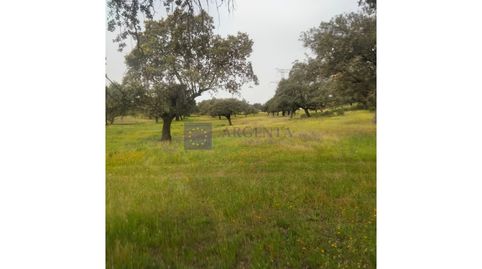 Foto 5 de Casa o chalet en venta en Malpartida de Plasencia, Cáceres