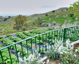 Garden of Country house for sale in Vélez-Málaga