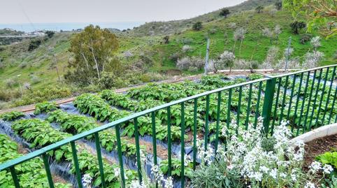Foto 3 de Finca rústica en venda a Camino Viejo de Málaga, Málaga
