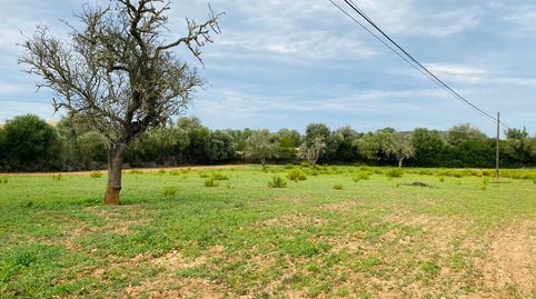 Photo 2 of Residential for sale in Felanitx Poble, Felanitx