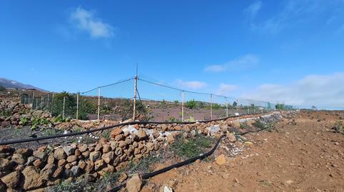 Foto 4 de Terreno en venta en Vilaflor de Chasna, Santa Cruz de Tenerife