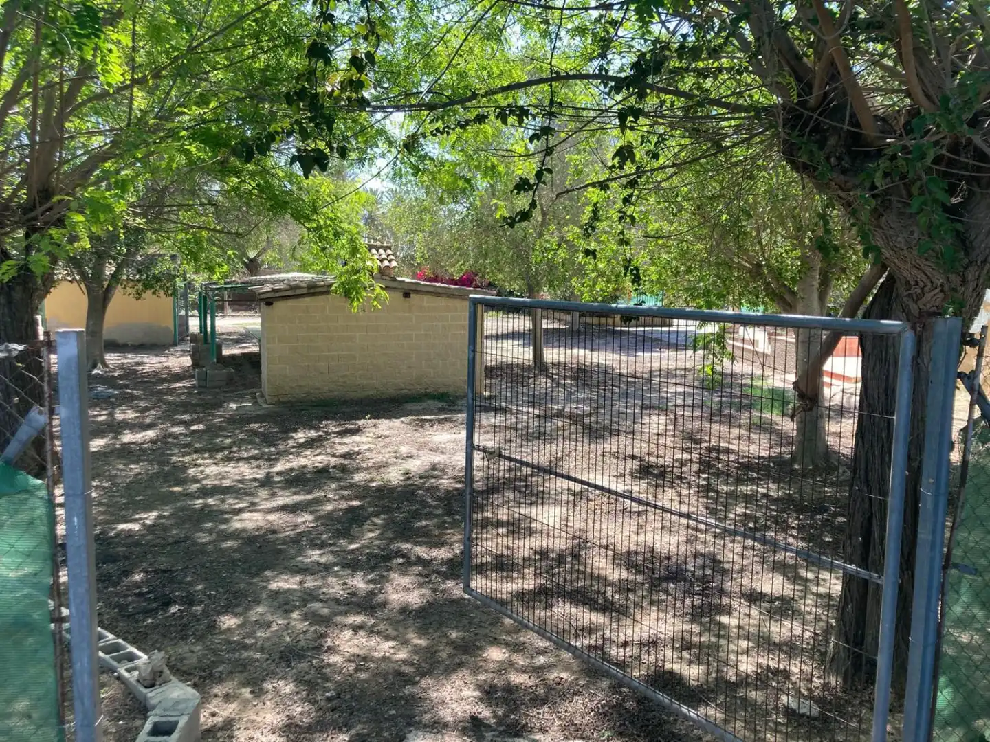 Finca rústica en venda a Los Montesinos