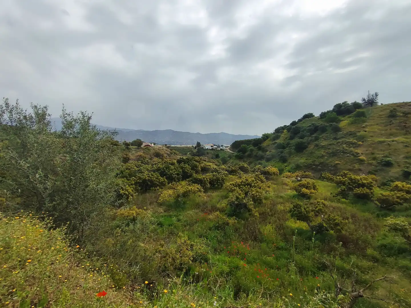 Terreny rústic en venda a Vélez-Málaga ciudad, imagen 30