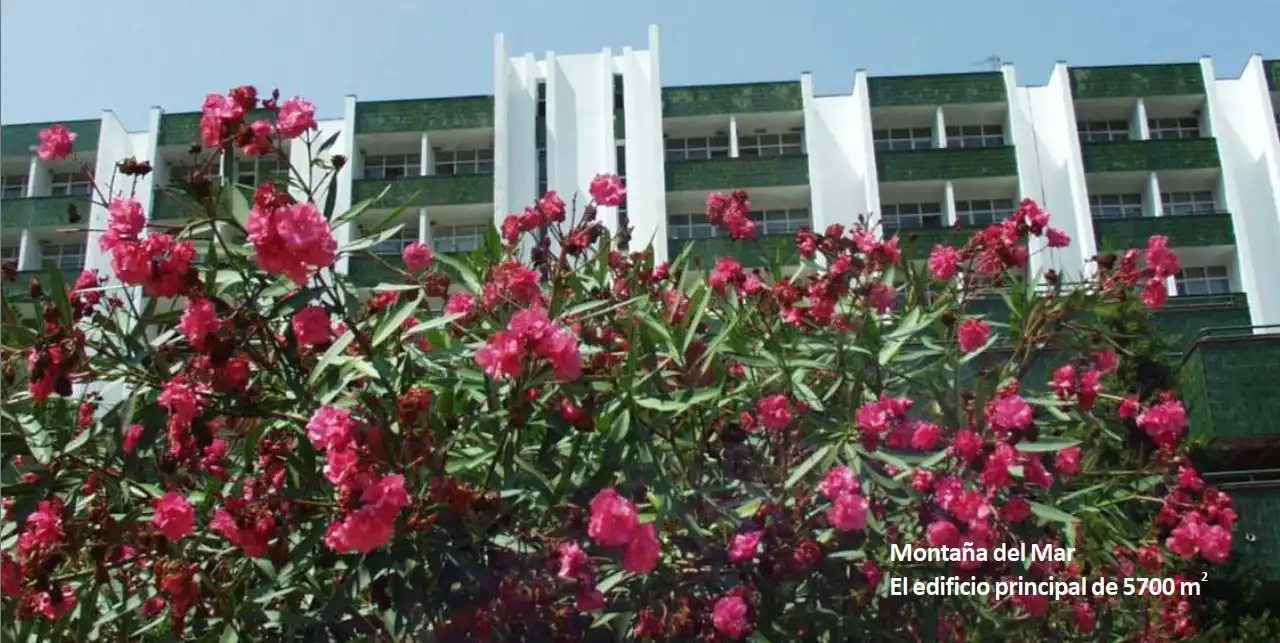 Exterior view of Buildings for sale in Canyelles