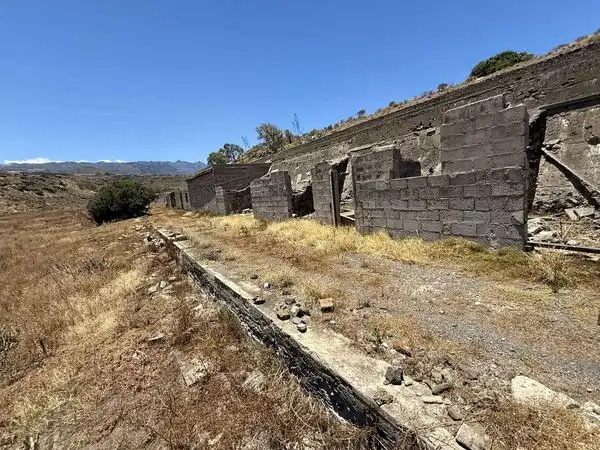 Rural land for sale in Calle Araucaria 13, imagen 7