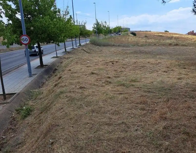 Terreni e lotti in vendita a Carretera de Carbajal, imagen 3