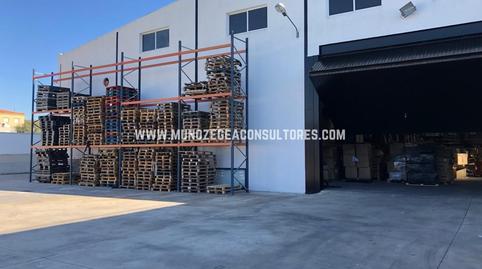 Photo 4 of Industrial buildings for sale in Córdoba Málaga, El Valle, Lucena