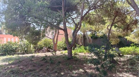 Foto 5 de Residencial en venta en N/a, -1, Cabo Roig, Orihuela