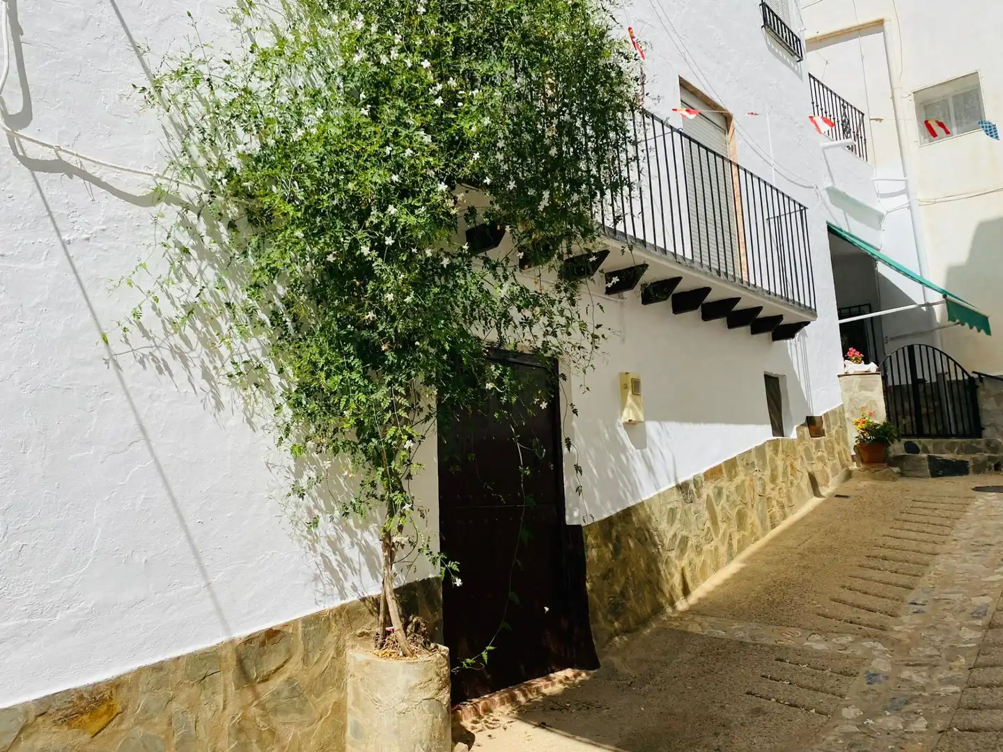 Vista exterior de Casa o xalet en venda en Sorvilán