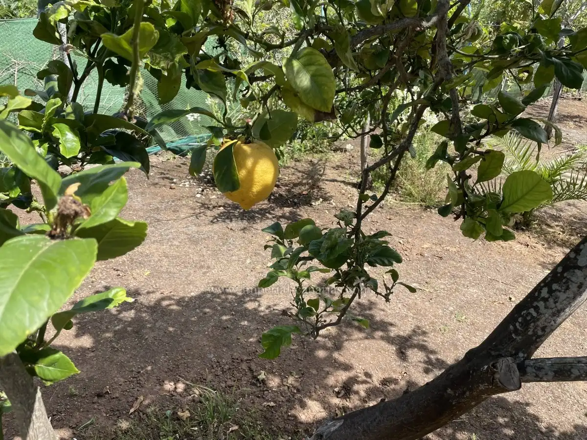 Casa o xalet en venda en Icod de los Vinos amb Moblat