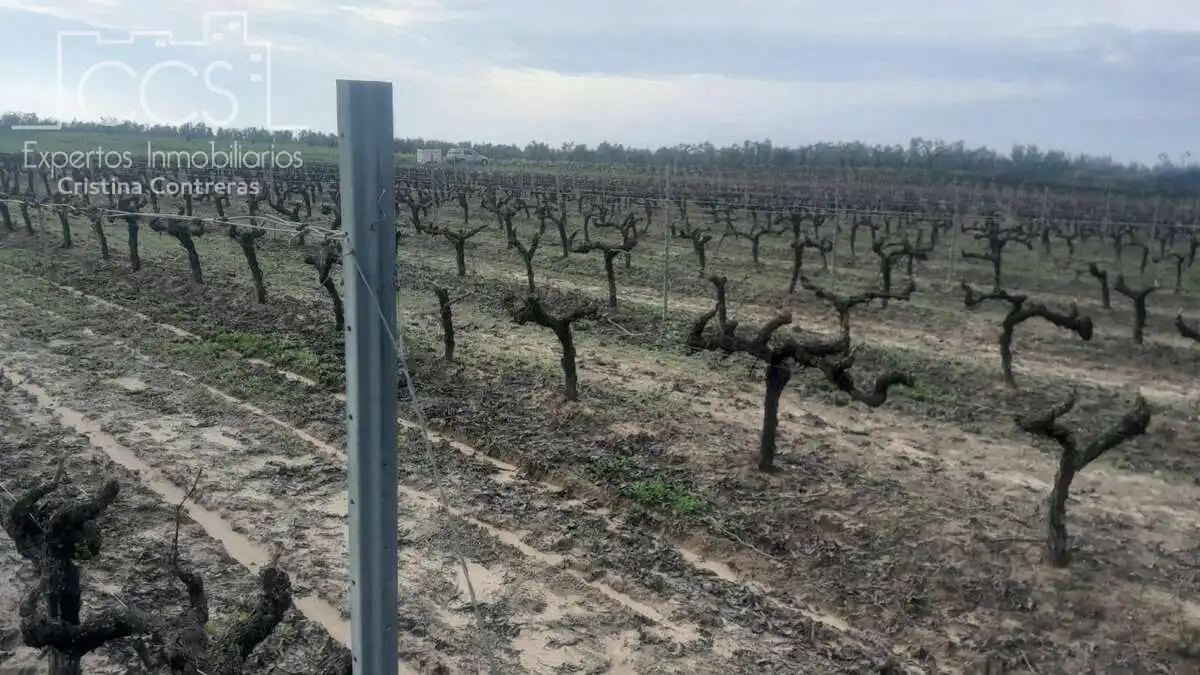 Terreni e lotti in vendita a Almonte ciudad, imagen 6