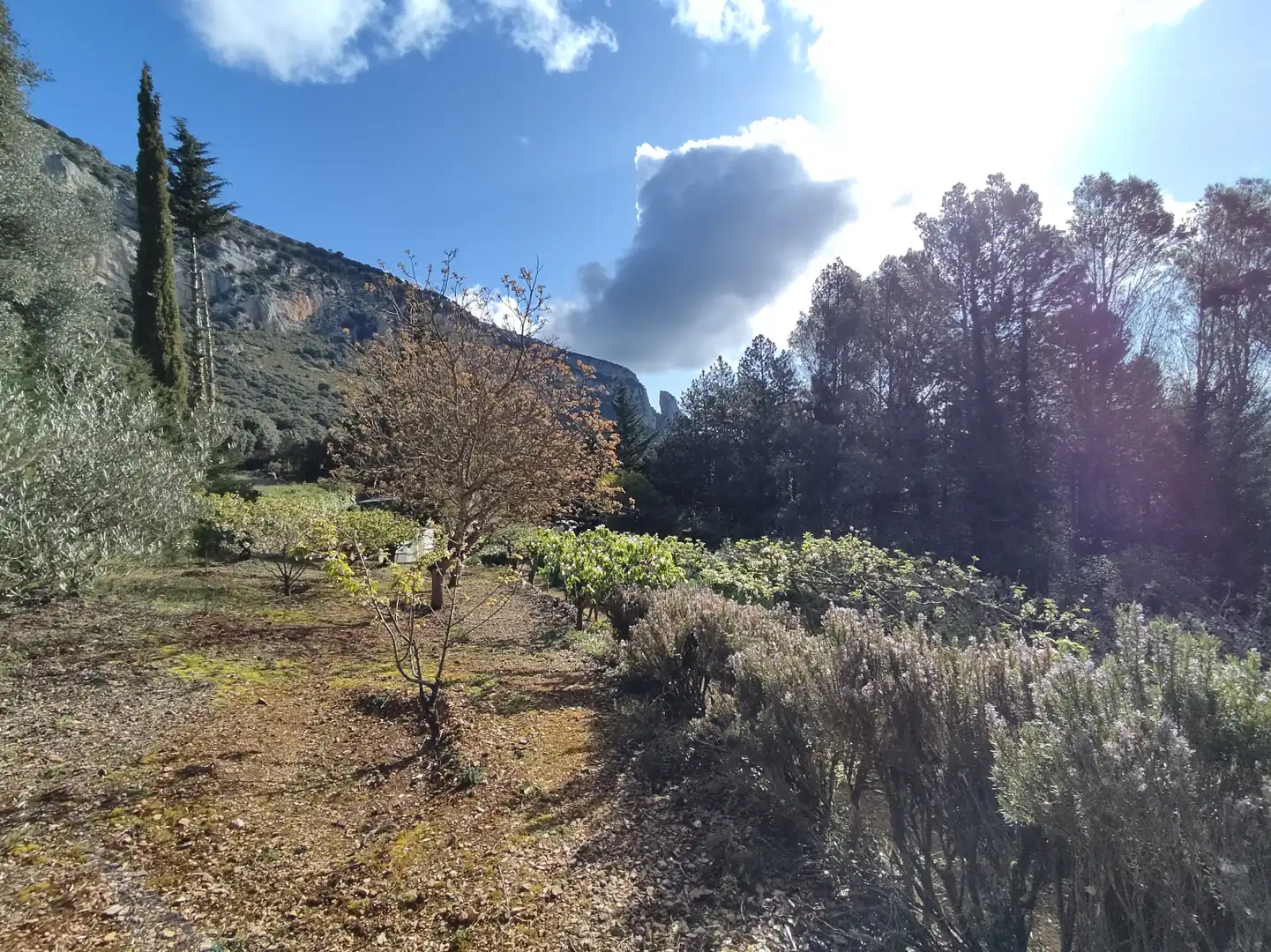 Terreno en venta en Ciriza / Ziritza