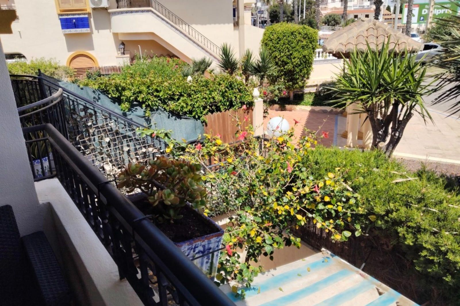 Jardí de Casa o xalet en venda en Torrevieja amb Aire condicionat, Calefacció i Terrassa