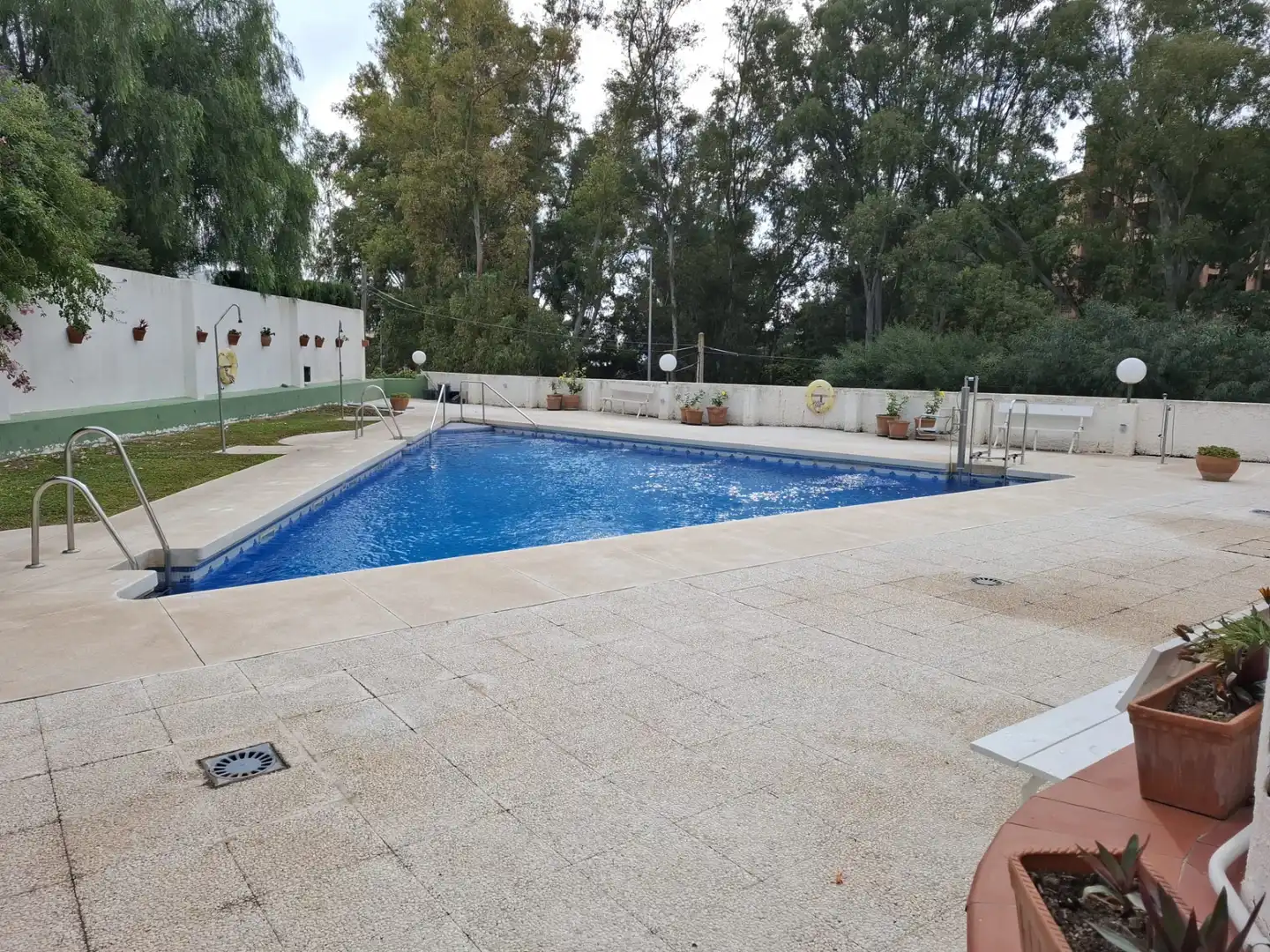 Piso con piscina en venta en Calle Orquídea 5, imagen 2
