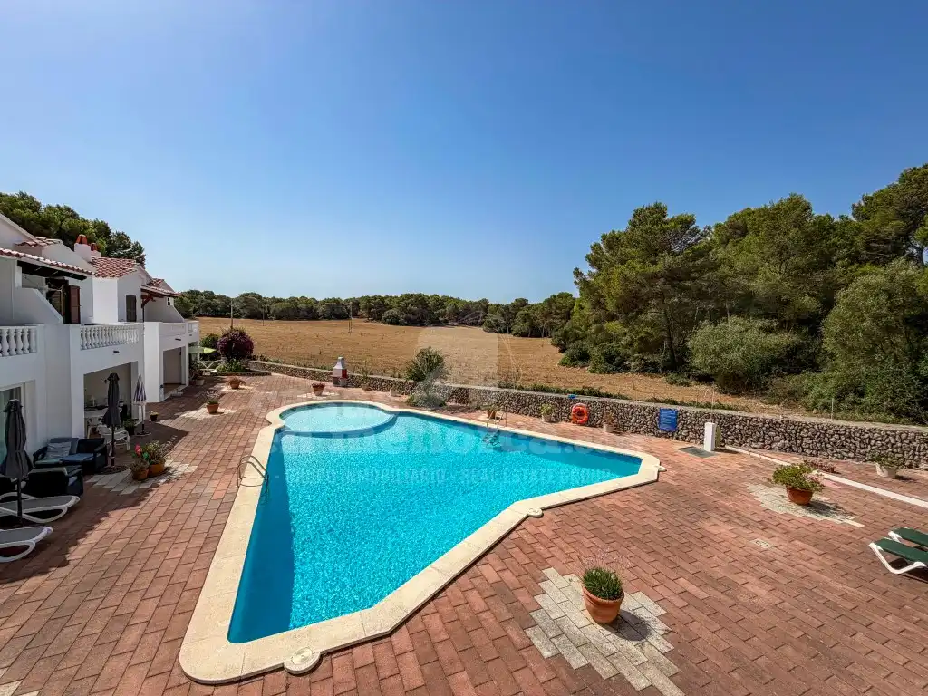 Swimming pool of Apartments for sale in Es Mercadal  with Air Conditioner, Private garden and Terrace
