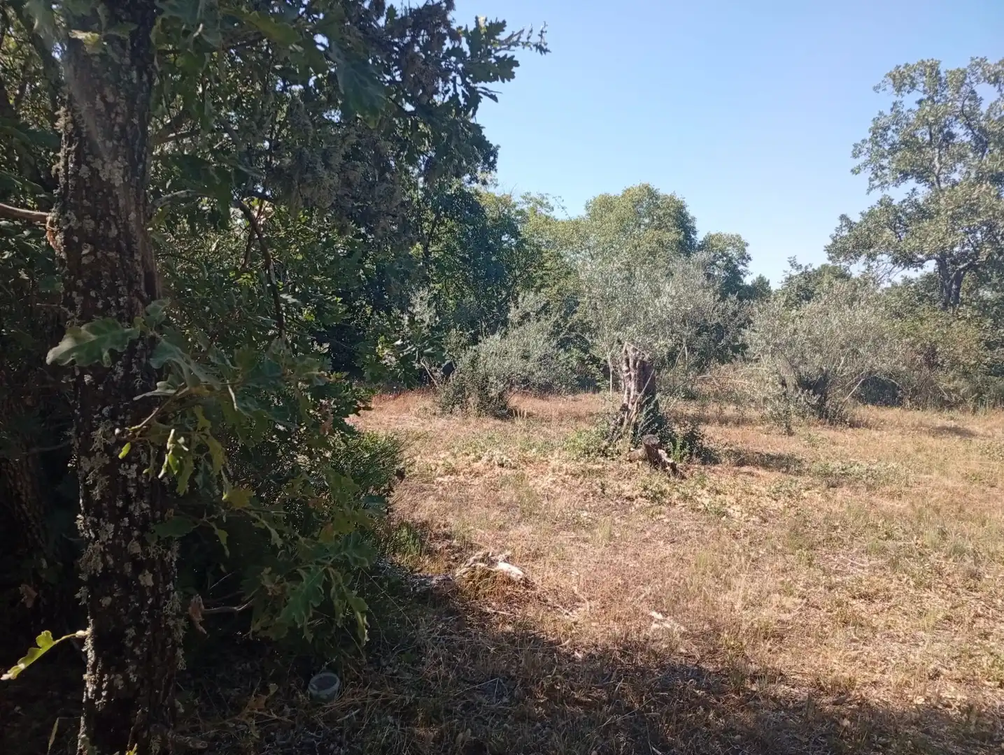 Terreni e lotti in vendita a Villanueva de la Vera, imagen 36