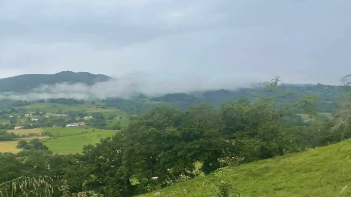 Terrenys i solars en venda a PIÑOLETA, PG. 137, imagen 2