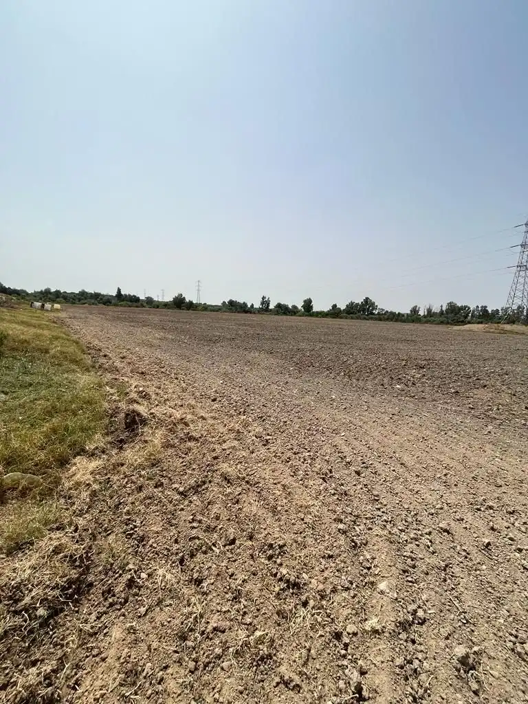 Terrenys i solars en venda a Carretera Cortes 4, imagen 12